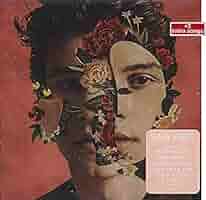 ショーンメンデス Shawn Mendes - Shawn Mendes - Amazon.com Music